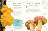 An Anthology of Fungi: A Collection of 100 Mushrooms, Toadstools and Other Fungi