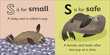 S is for Seal - Retail Maharaj