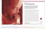 Your Pregnancy Week By Week - Retail Maharaj