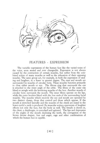 Heads, Features and Faces