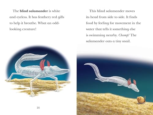 Black Out!: Animals That Live in the Dark: Animals That Live in the Dark (Penguin Young Readers, Level 3)