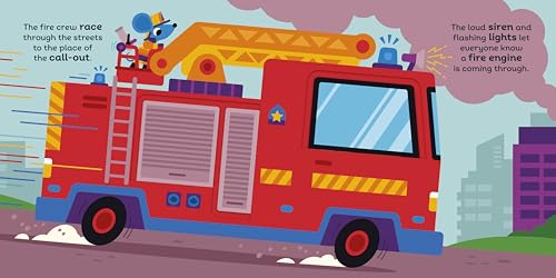 Red Cat the Firefighter: With chunky lift-the-flaps