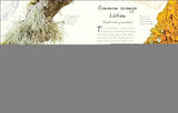 An Anthology of Fungi: A Collection of 100 Mushrooms, Toadstools and Other Fungi