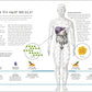 The Science of Nutrition