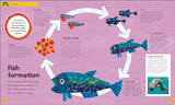 The Very Hungry Caterpillar's Very First Ocean Encyclopedia: An Introduction to the Ocean, for Very Hungry Young Minds