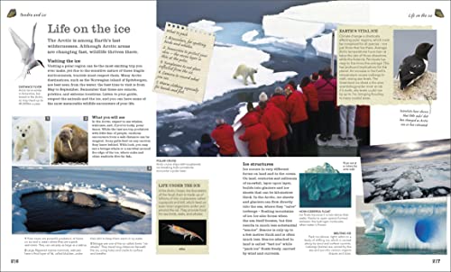 Chris Packham's Nature Handbook: Explore the Wonders of the Natural World