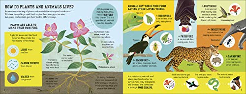 The Rainforest Book (Conservation for Kids)