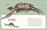 Dinosaurs and Other Prehistoric Life (DK Children's Anthologies) - Retail Maharaj