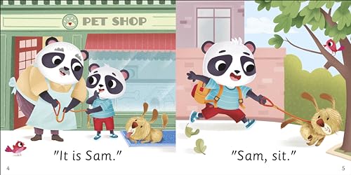 DK Super Phonics My First Decodable Stories Pet Shop Panda