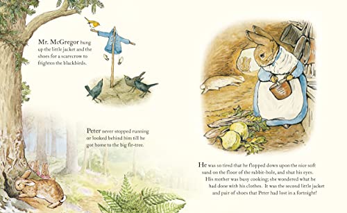 The Tale of Peter Rabbit Picture Book