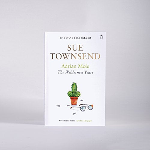 Adrian Mole: The Wilderness Years - Retail Maharaj