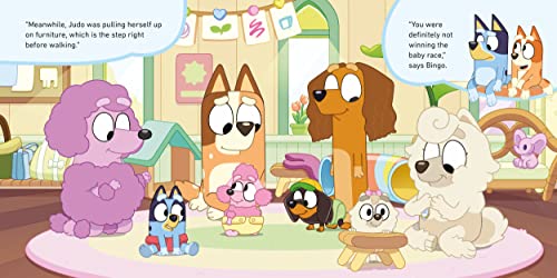 Bluey: Baby Race