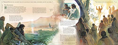 The Life of Jesus (DK Bibles and Bible Guides)