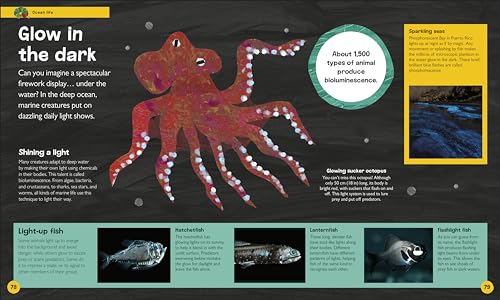 The Very Hungry Caterpillar's Very First Ocean Encyclopedia: An Introduction to the Ocean, for Very Hungry Young Minds