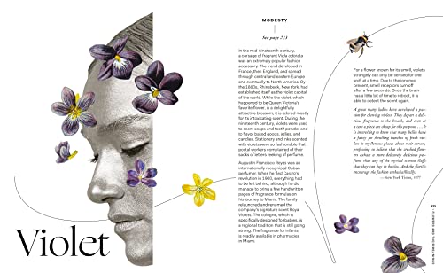 Flowers and Their Meanings: The Secret Language and History of Over 600 Blooms (A Flower Dictionary) - Retail Maharaj