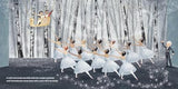 The Night Before the Nutcracker (American Ballet Theatre)