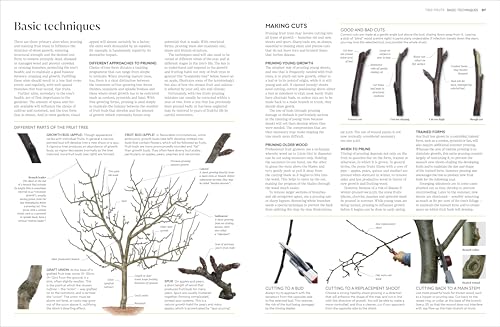 RHS Pruning and Training: What, When, and How to Prune Over 800 Plants
