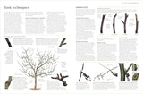 RHS Pruning and Training: What, When, and How to Prune Over 800 Plants