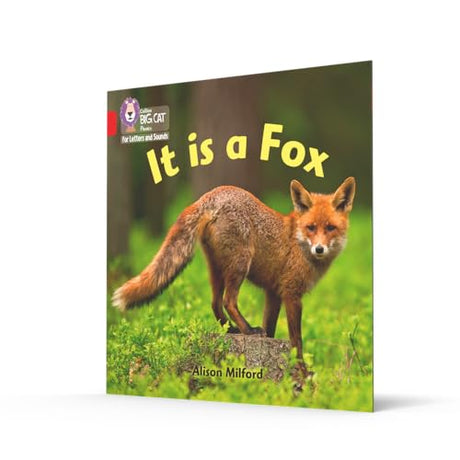 Big Cat L&S_It Is A Fox - Retail Maharaj