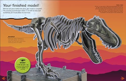 Make Your Own T. Rex: Easy to Build - No Glue, No Mess!