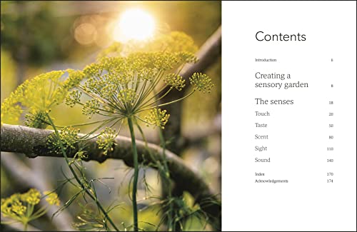 Garden for the Senses: How Your Garden Can Soothe Your Mind and Awaken Your Soul