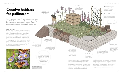 The Raised Bed Book: Get the Most from Your Raised Bed, Every Step of the Way