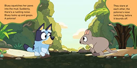Bluey: The Creek - Retail Maharaj