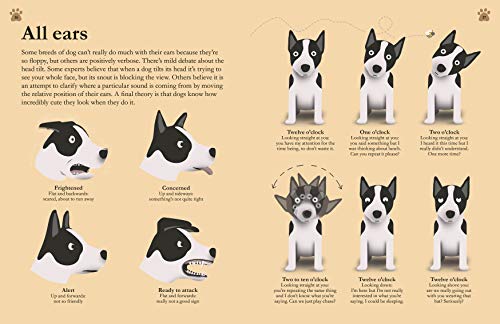 How Dogs Work: A Head-to-Tail Guide to Your Canine (DK Practical Pet Guides)