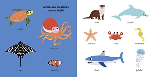My First Animals: A World of Words
