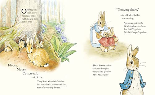 The Tale of Peter Rabbit Picture Book