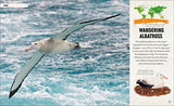 Amazing Animal Journeys: The Most Incredible Migrations in the Natural World