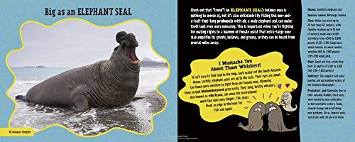 Big as a Giant Snail