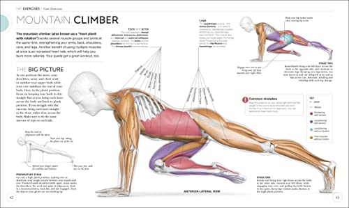 Science of HIIT: Understand the Anatomy and Physiology to Transform Your Body