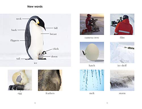Penguin Readers Level 2: Dynasties: Penguins (ELT Graded Reader)