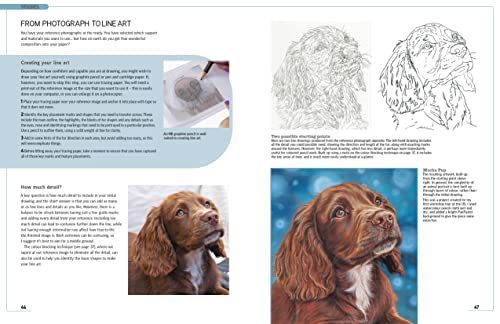 Drawing Animal Portraits in Coloured Pencil - Retail Maharaj