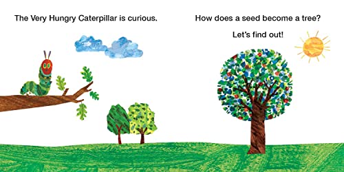 How Does a Seed Sprout?: Life Cycles with The Very Hungry Caterpillar