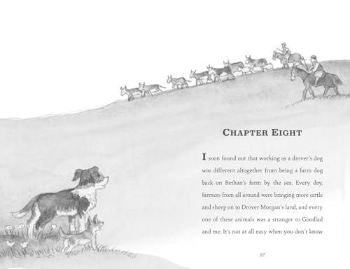 Cobweb: A heart-warming new story of bravery, friendship, and an incredible journey, for children and adults everywhere from the bestselling author of WAR HORSE.