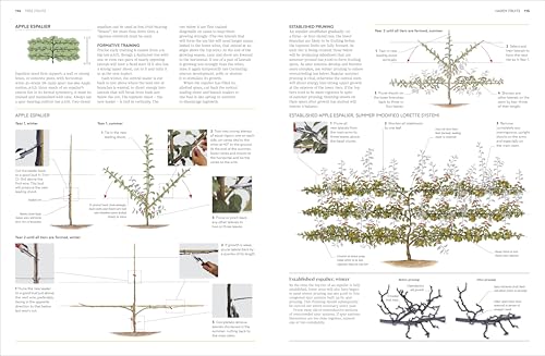 RHS Pruning and Training: What, When, and How to Prune Over 800 Plants