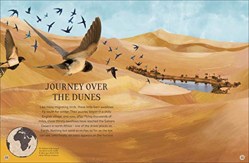Through the Animal Kingdom: Discover Amazing Animals and Their Remarkable Homes (Journey Through)
