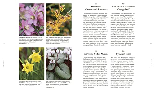 RHS A Plant for Every Day of the Year