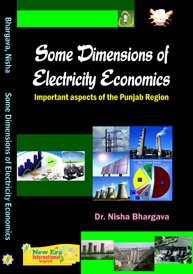 Some Dimensions of Electricity Economics: Important Aspects of the Punjab Region.