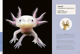 Ben Rothery's Weird and Wonderful Animals