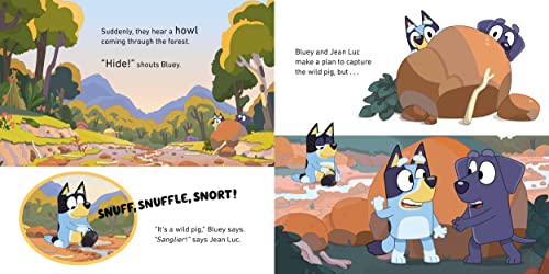 Bluey: Camping