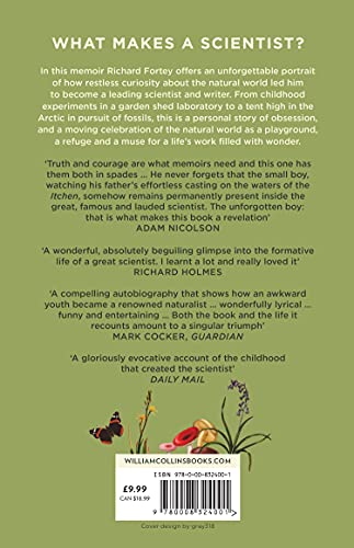 A Curious Boy - Retail Maharaj