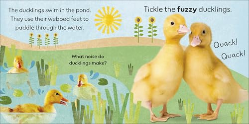 Touch and Feel Farm: With Tactiles for Toddlers to Explore