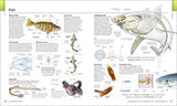 The Visual Encyclopedia
