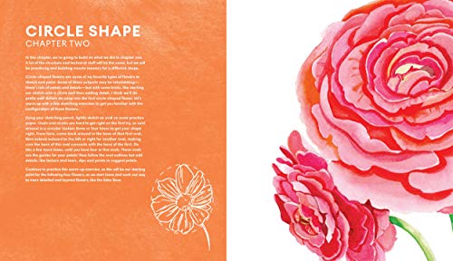 Everyday Watercolor Flowers