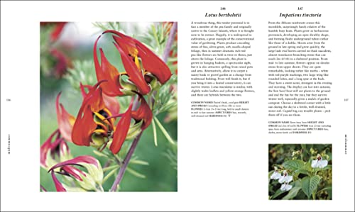 RHS A Plant for Every Day of the Year