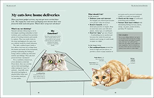 What's My Cat Thinking?: Understand Your Cat to Give Them a Happy Life