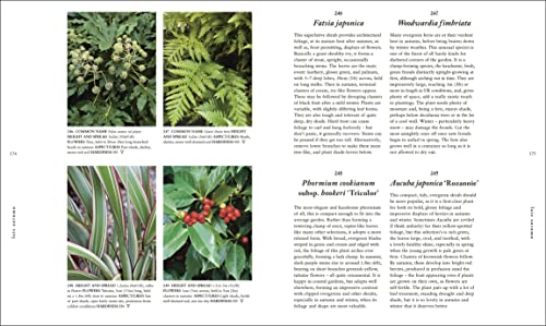 RHS A Plant for Every Day of the Year